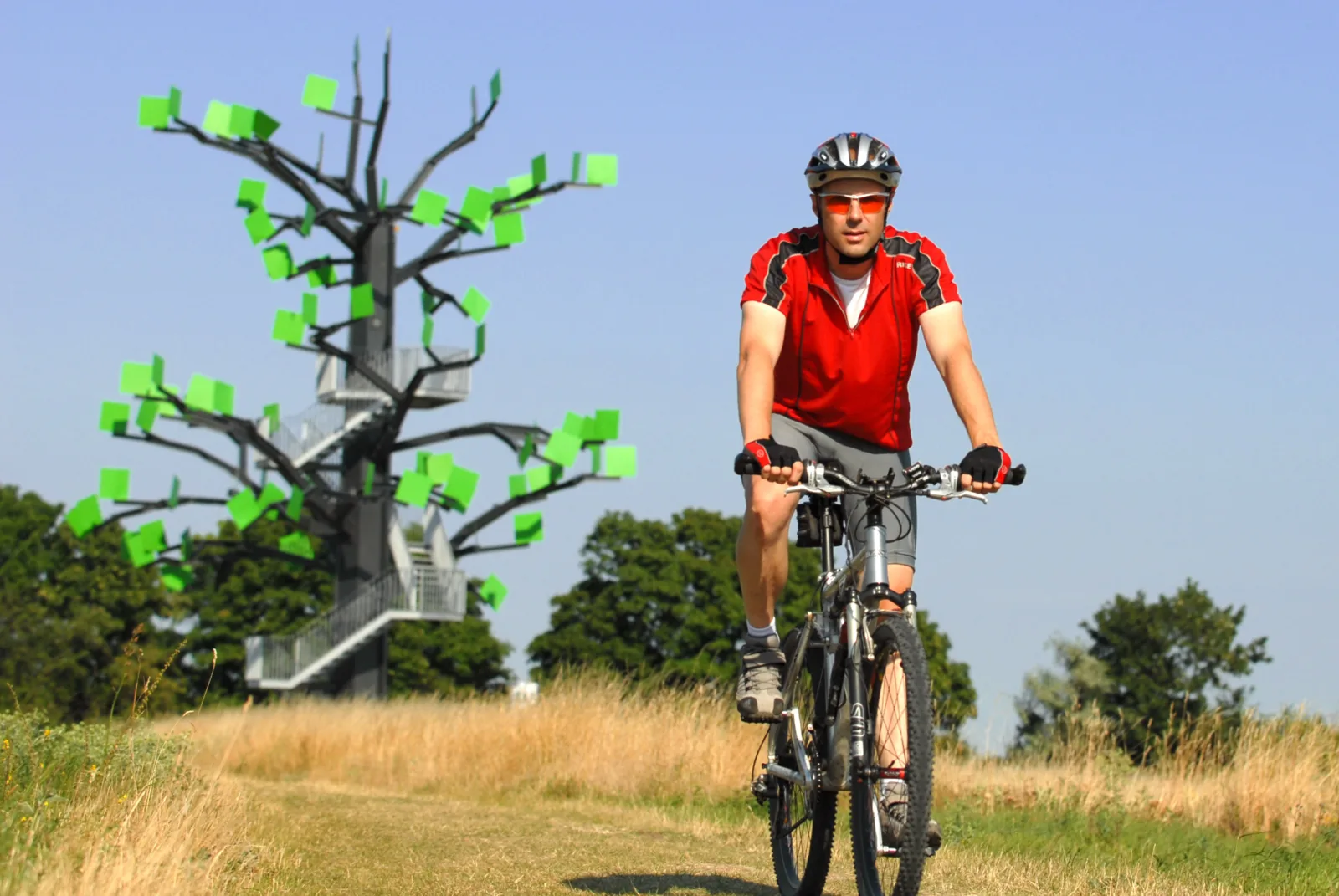 Der Eisenbaum Aussichtsturm