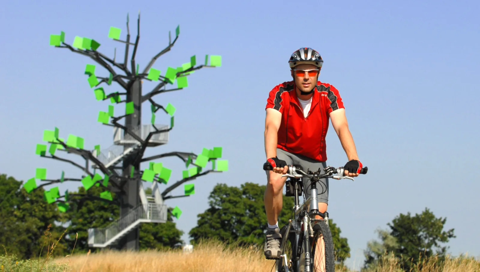 Der Eisenbaum Aussichtsturm