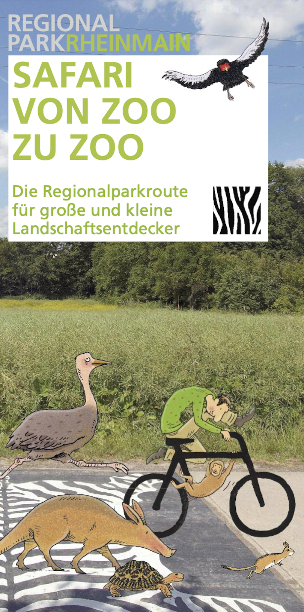 Safari von Zoo zu Zoo