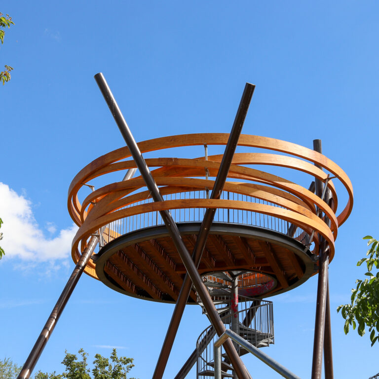 Vogelnest 02072020 2 Foto Carsten Simon