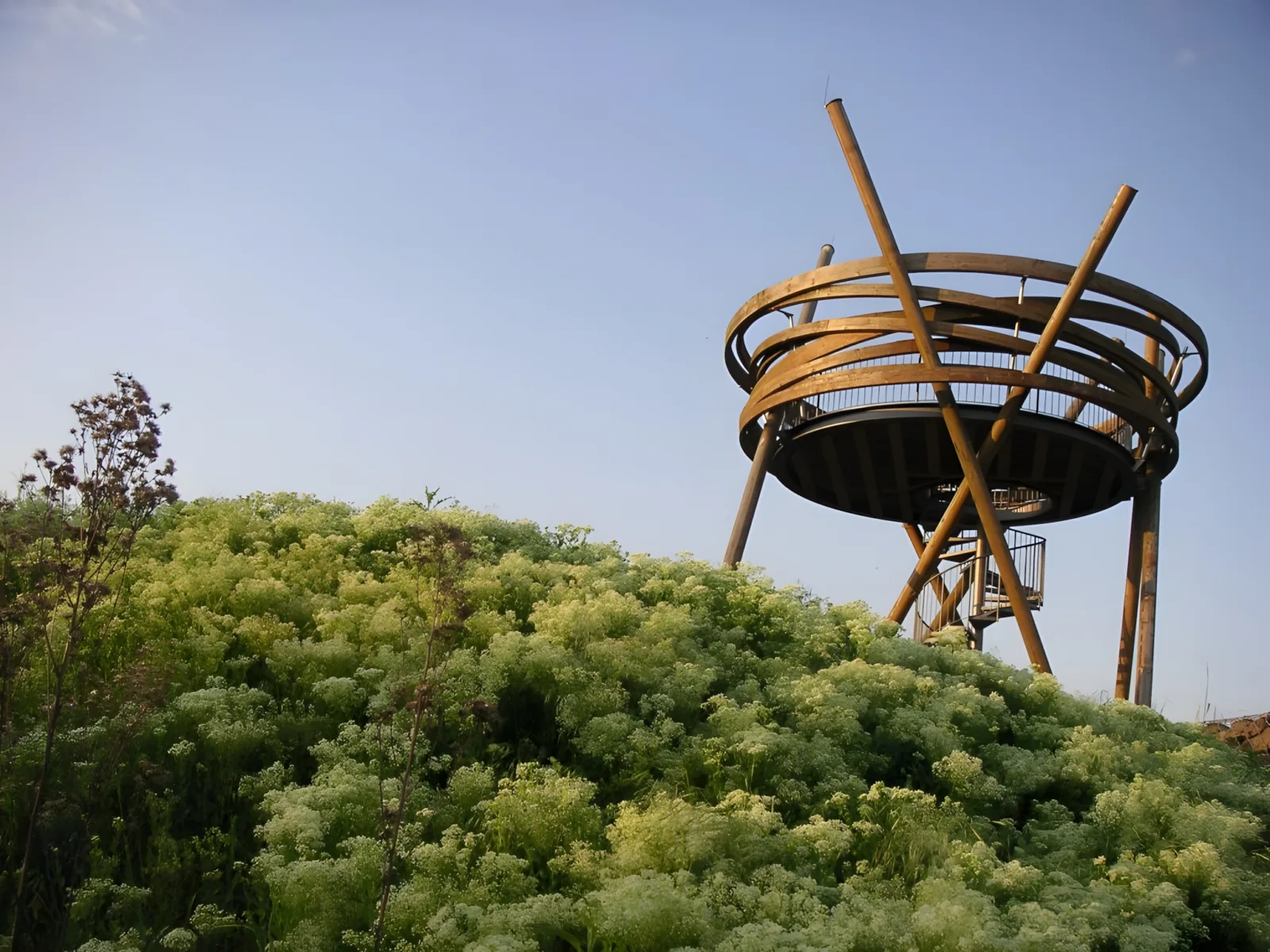 Aussichtskanzel Vogelnest Hochheim