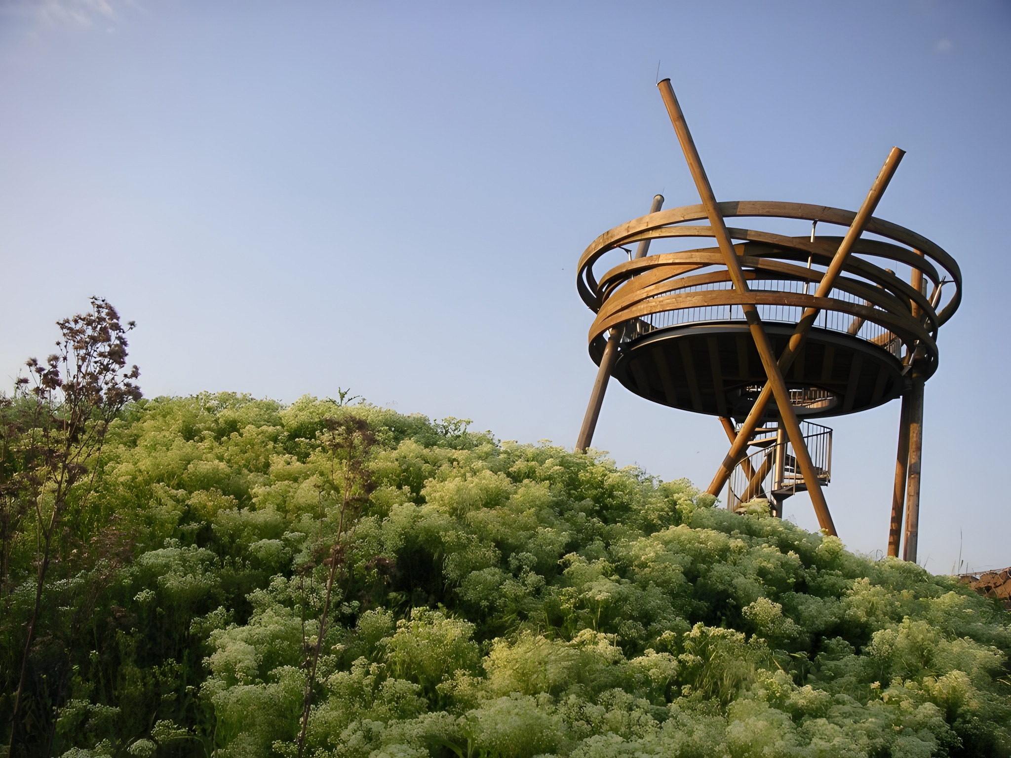 Aussichtskanzel Vogelnest Hochheim