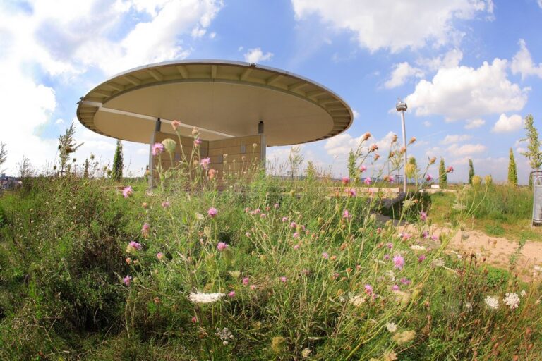 Haus des dichters floersheim 3