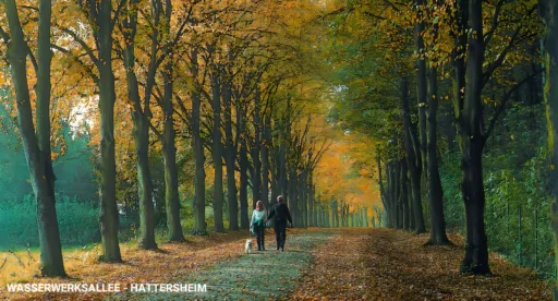 Wasserwerksallee hattersheim