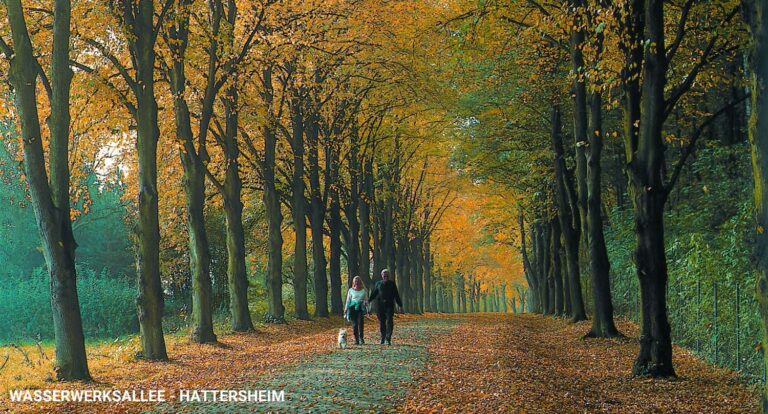 Wasserwerksallee hattersheim