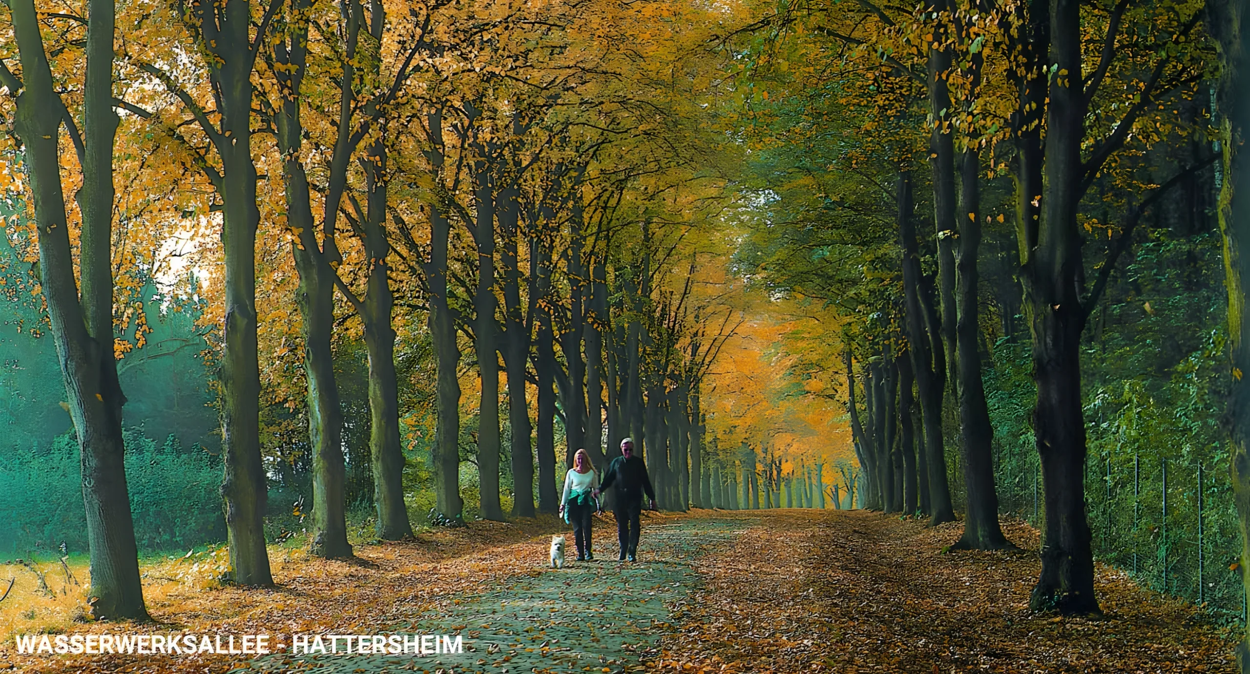 Wasserwerksallee Hattersheim