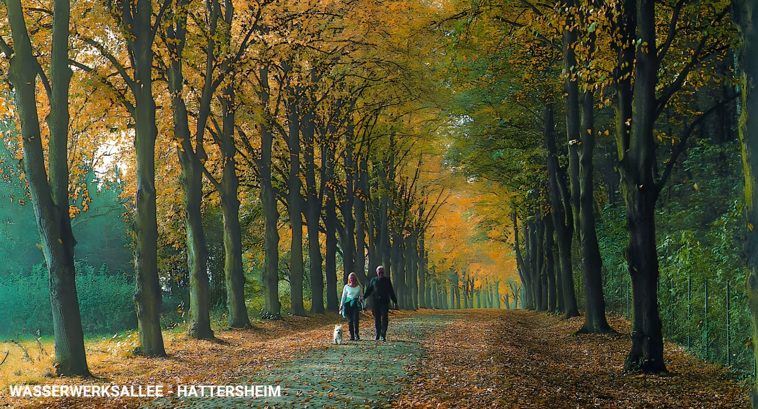 Wasserwerksallee hattersheim