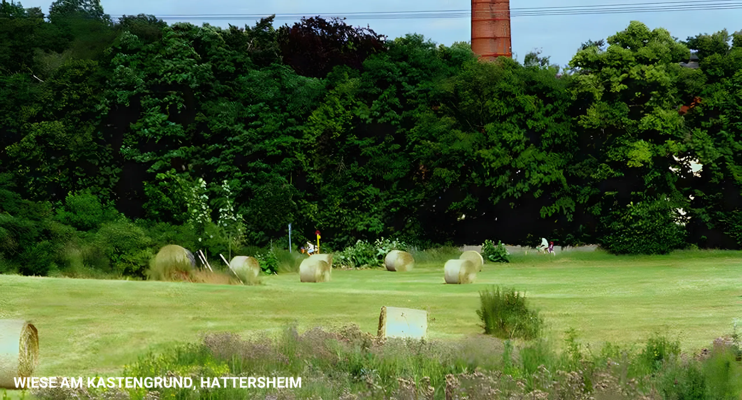 Wiese am Kastengrund, Hattersheim