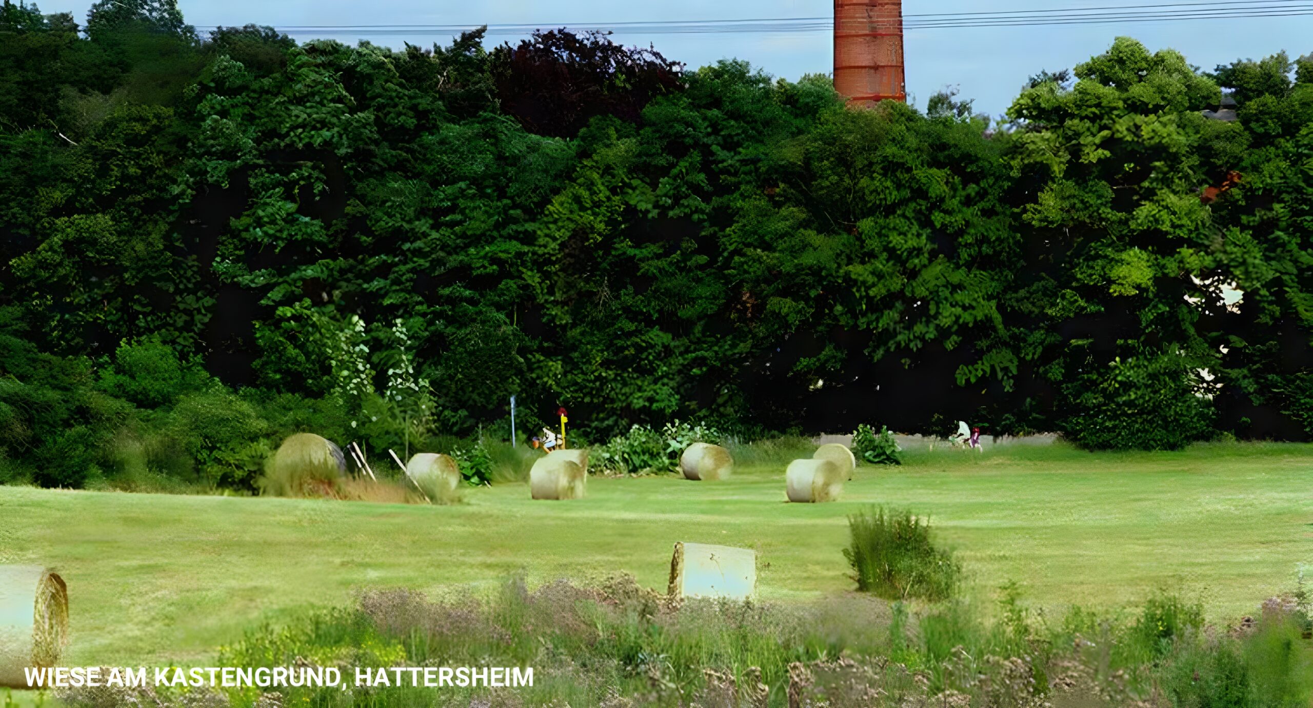 Wiese am kastengrund hattersheim