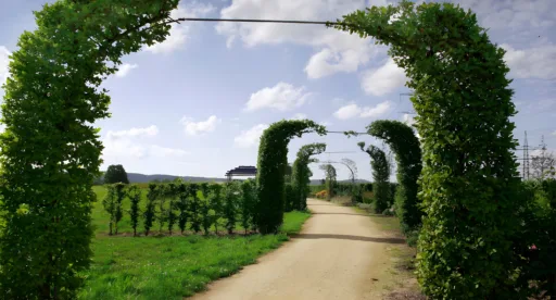 Ziegeleipark kriftel1