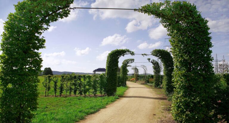 Ziegeleipark kriftel1