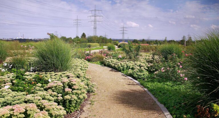 Ziegeleipark kriftel3