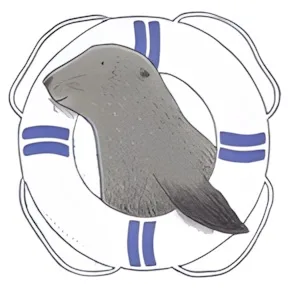 Rettungsstation für junge Seebären