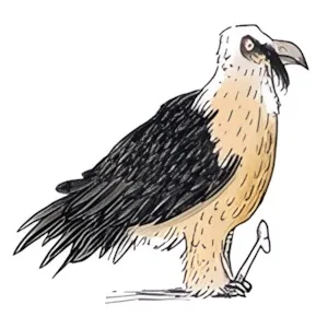 Bartgeierknochenschmiede