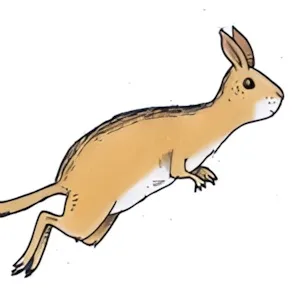 Rad- und Springhasenweg