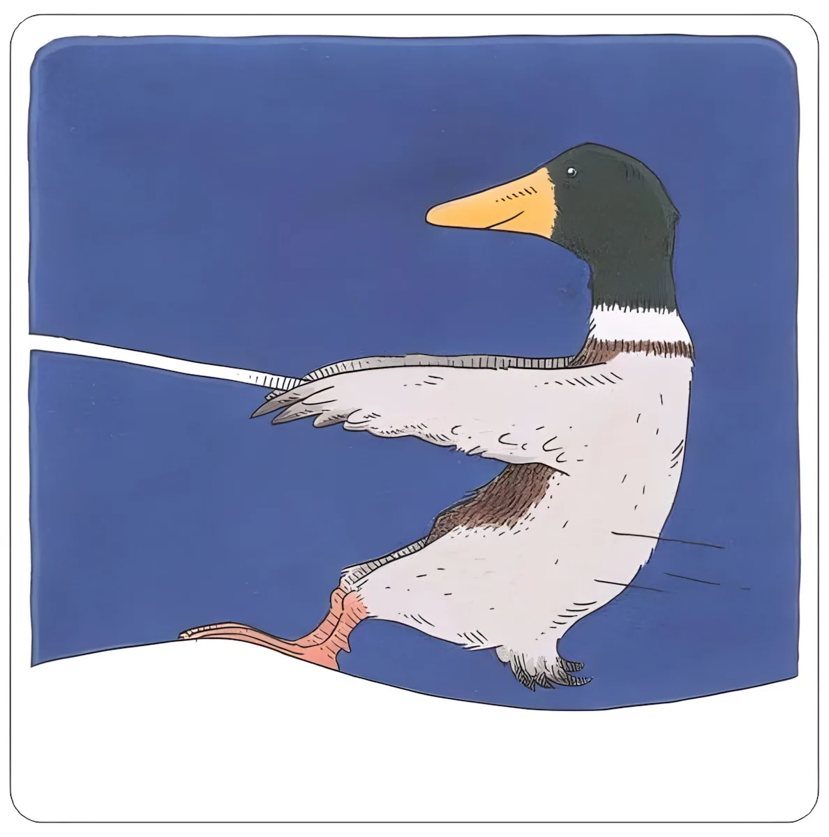 Enten-Wasserskistrecke