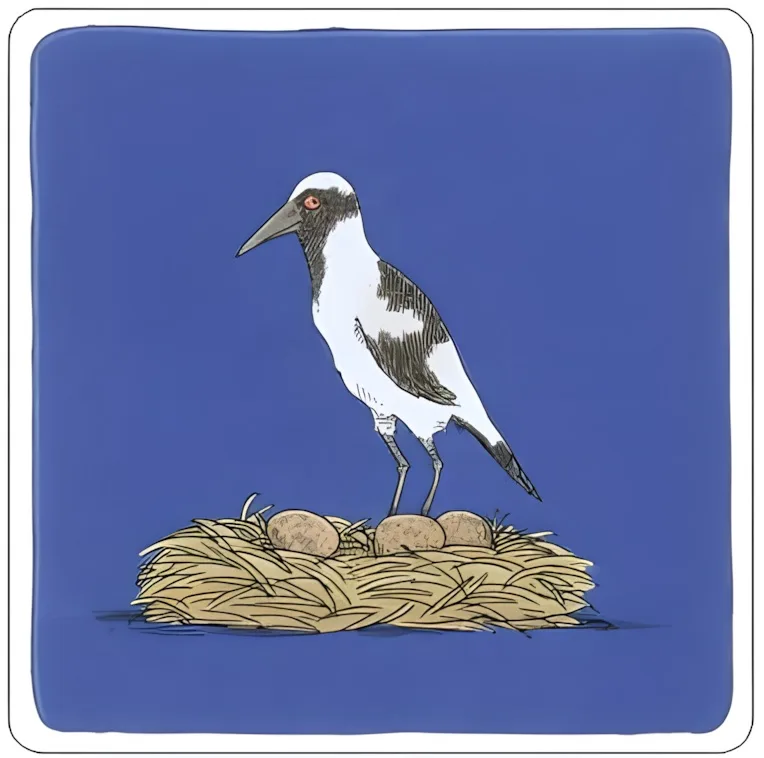 Brutplatz für Waffenkiebitze