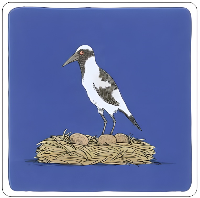 Brutplatz für Waffenkiebitze