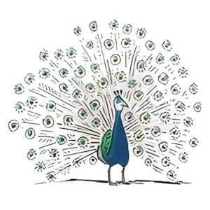 Radschlagverbot für Pfaue