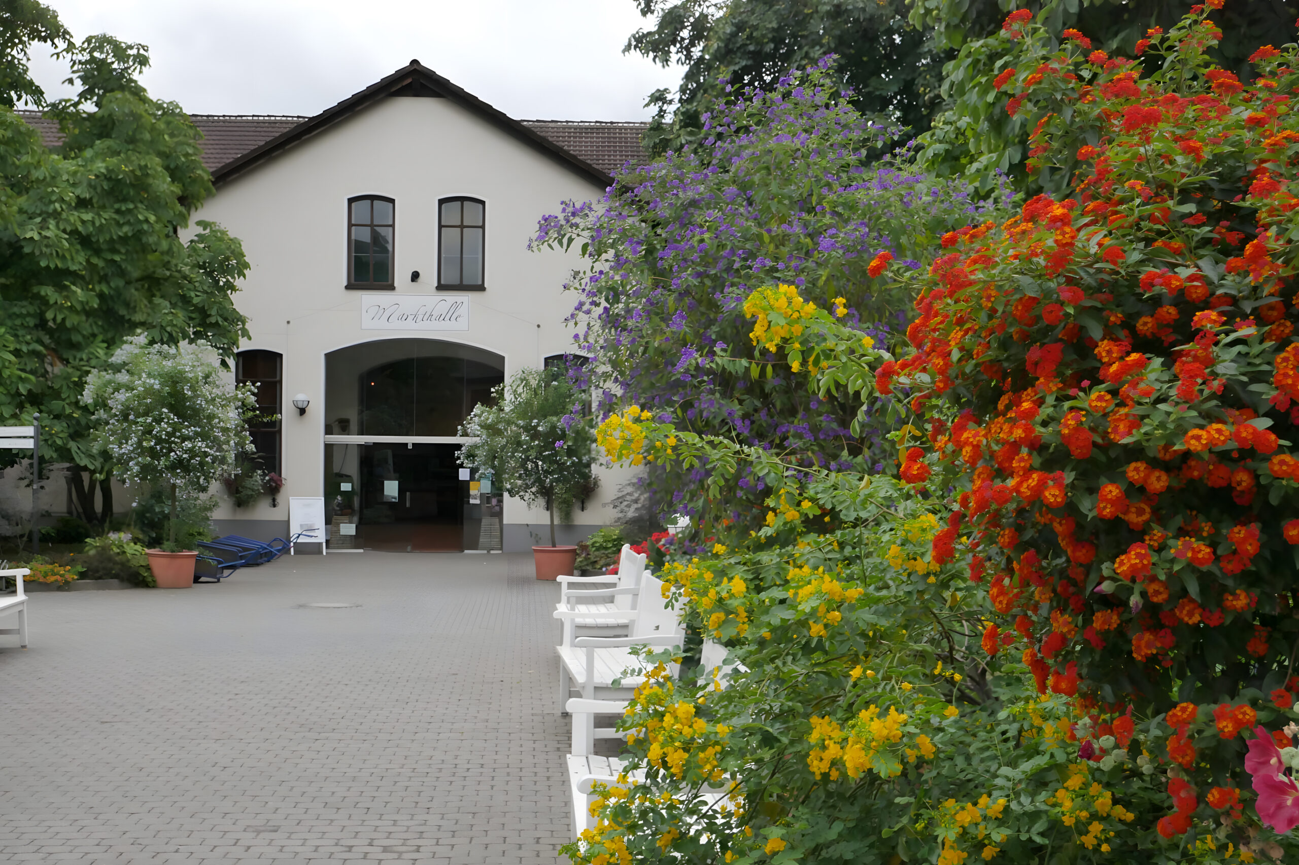 2019 Markthalle Domaene Kopie 2048x1365