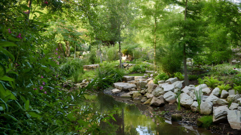 23 07 22 gruendau renatur COP3585 1024x576