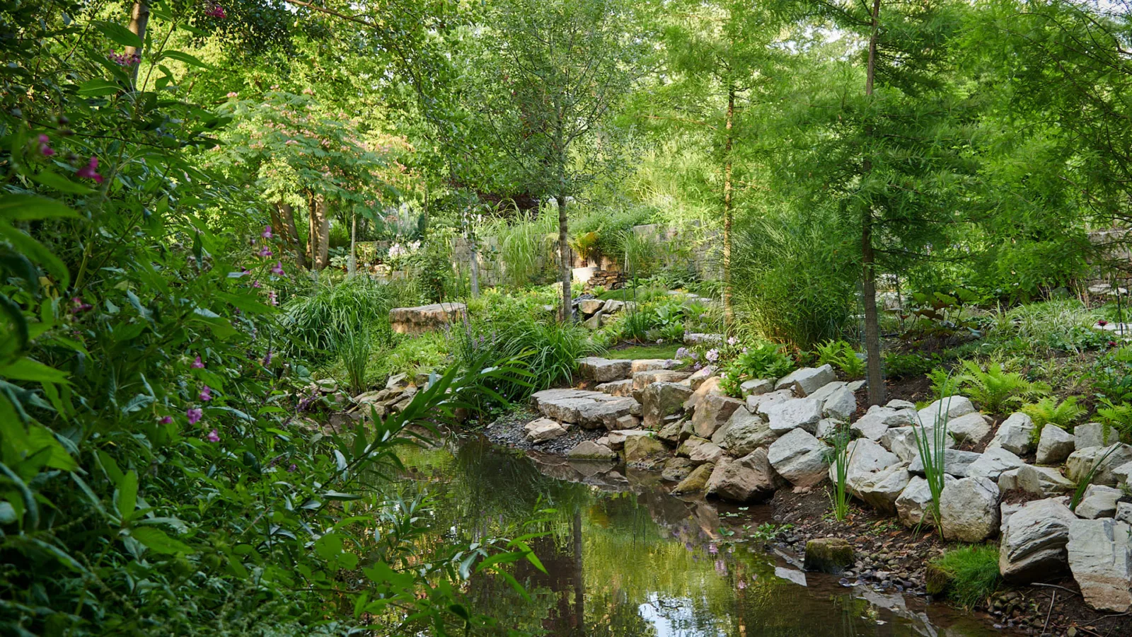 Renaturierung der Gründau, Langenselbold