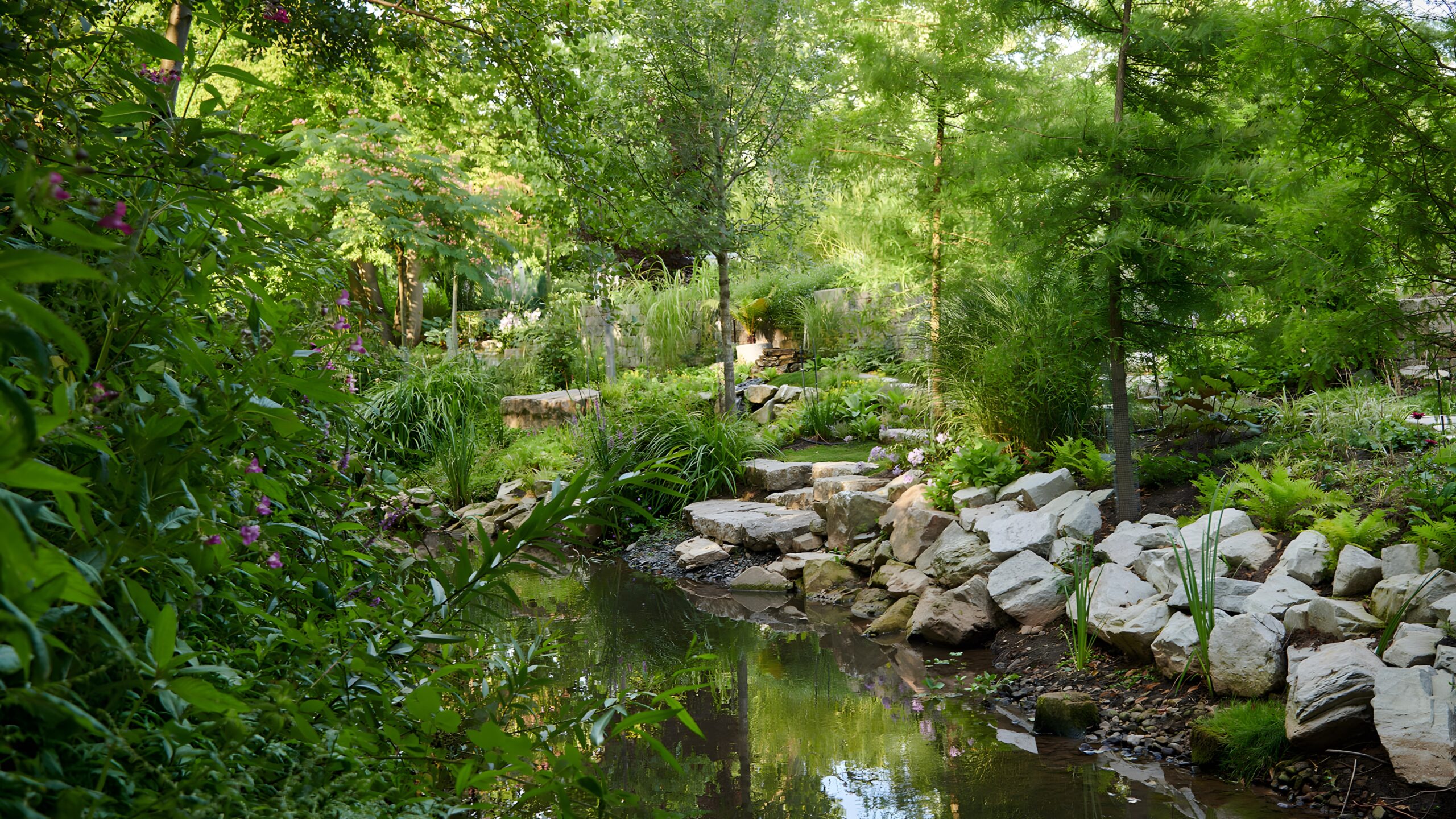 Renaturierung der Gründau, Langenselbold