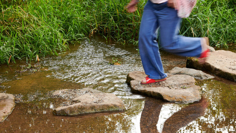 23 07 22 gruendau renatur COP3596