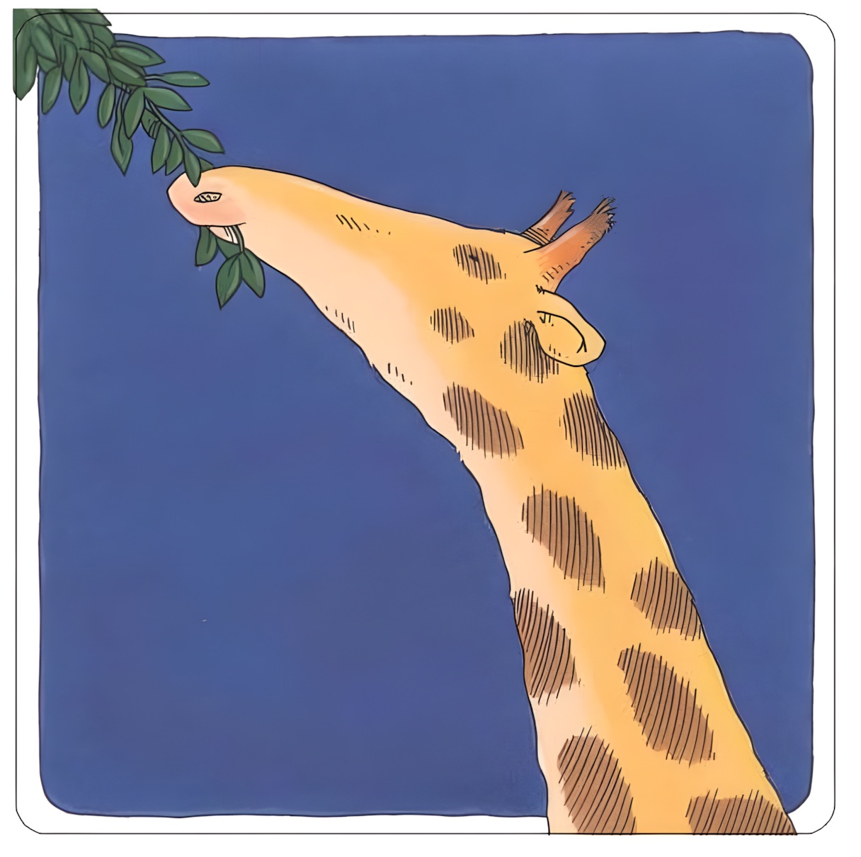 Giraffenleckerbissen