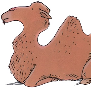 Trampeltierbodenwelle