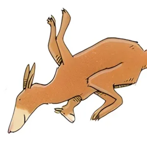 Weitsprungübungsstrecke für Kängurus