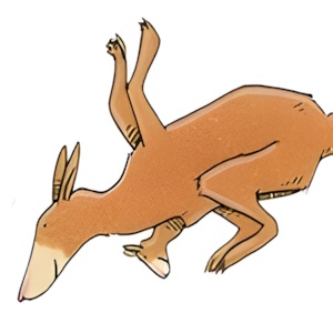 Weitsprungübungsstrecke für Kängurus