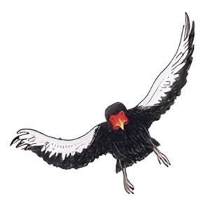 Gauklereinflugschneise