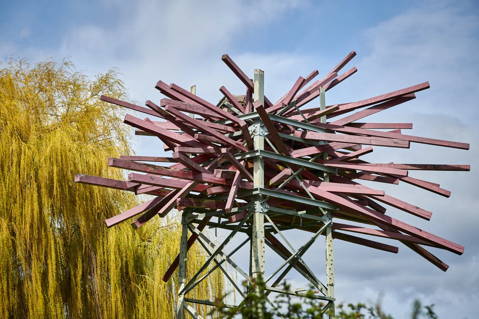 Flussvögel – Klimaroute