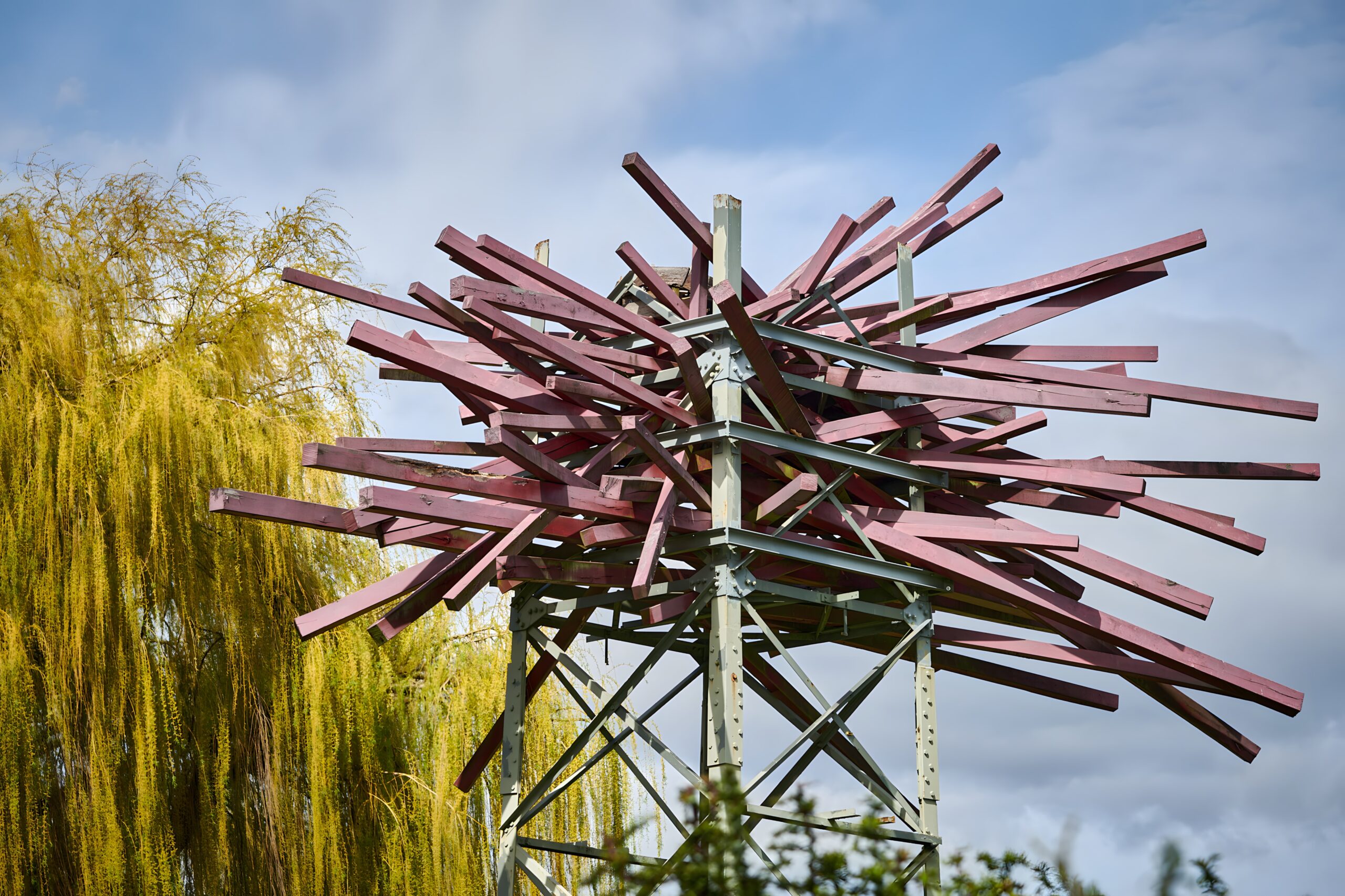 Flussvögel – Klimaroute