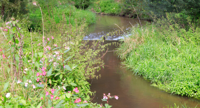 Bernd Ehlers An der Rodau Obertshausen 4 scaled 925x499