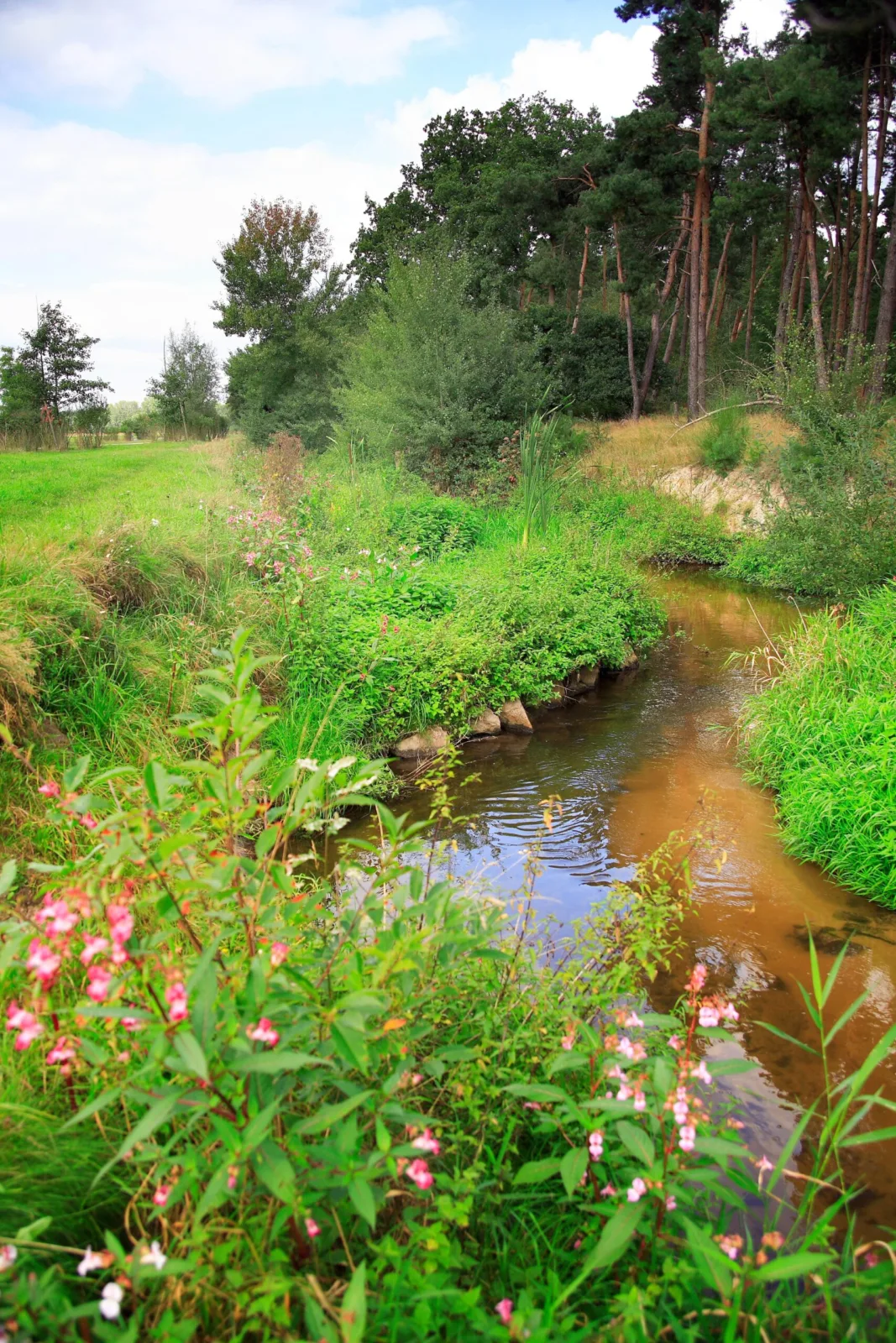 Rodaurenaturierung Obertshausen