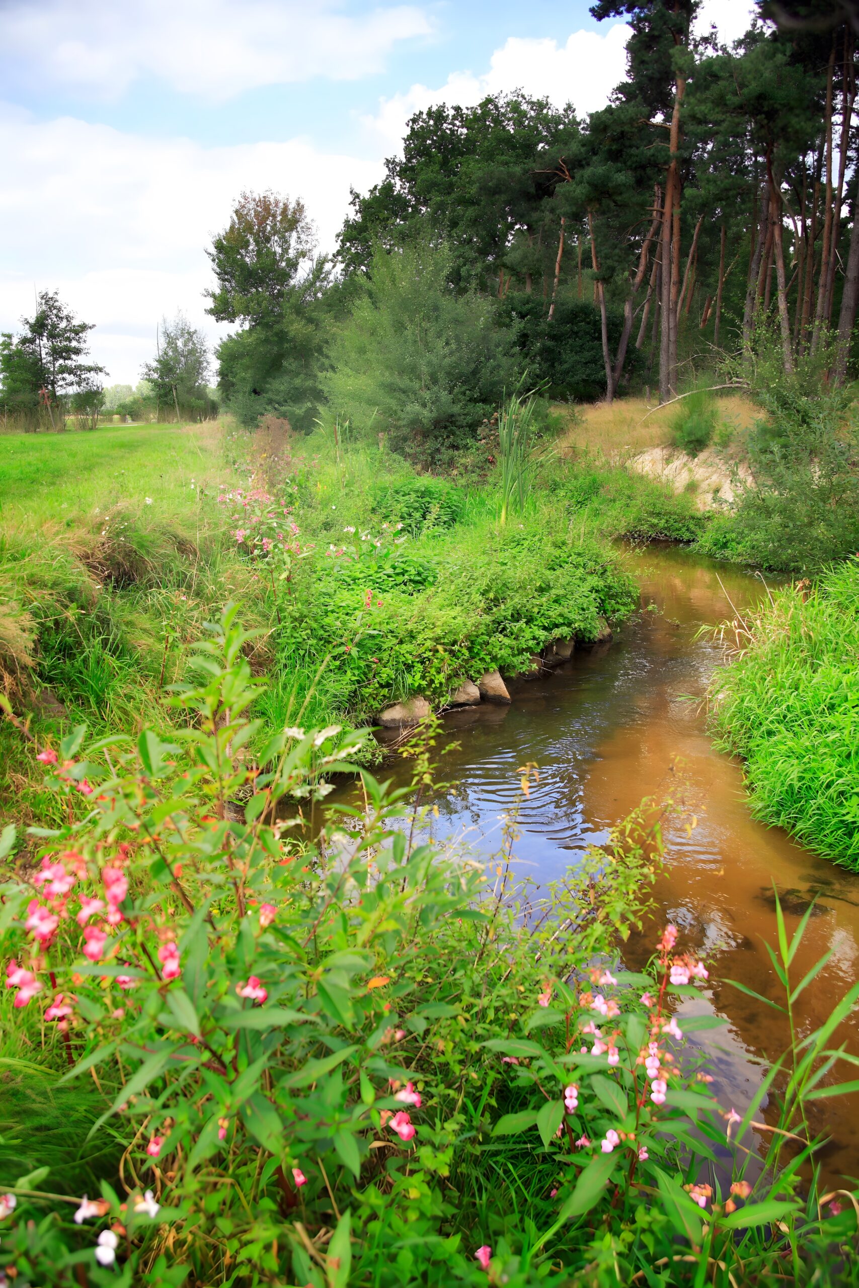 Rodaurenaturierung Obertshausen