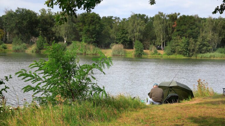 Bernd Ehlers Bauschheimer Waldsee 1 scaled 1920x1080