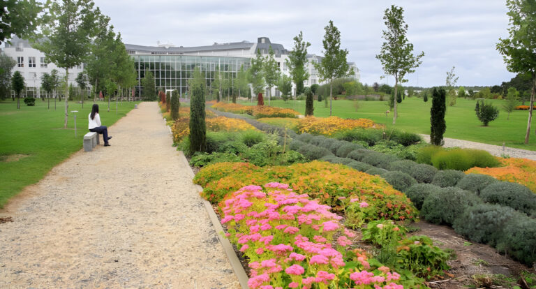 Bernd Ehlers Internetpark Dietzenbach 6 scaled 925x499