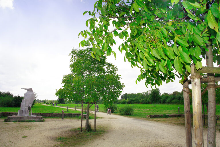 Bernd Ehlers Nussbaumquartier und Rabe (3)