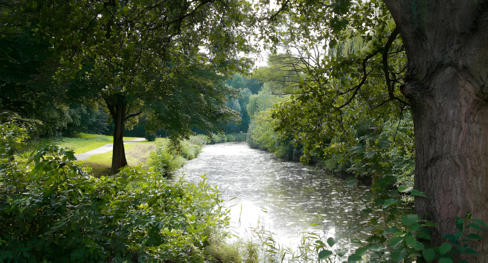 Horlachgraben Rüsselsheim