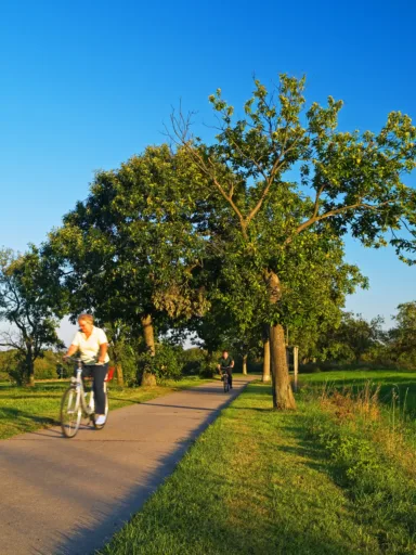 Bogun Alte Poststrasse Taunushang Radler auf Route Radfahrer Kastanienallee Edelkastanien scaled