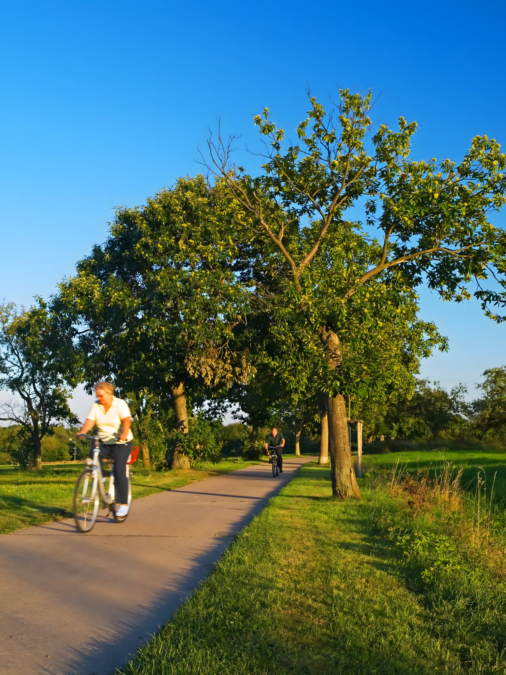 Alte Poststraße in Schwalbach am Taunus