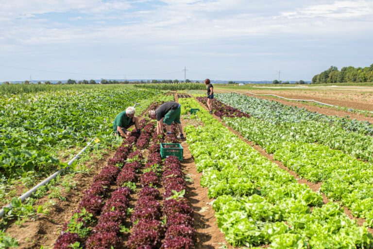 Domane 21082020 302 Kopie 2048x1365