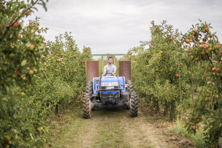 Domane 21082020 346 2048x1365