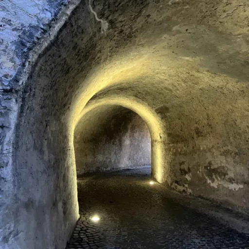 Festung Rüsselsheim IMG 1223 Britta Baums 20260121 klein