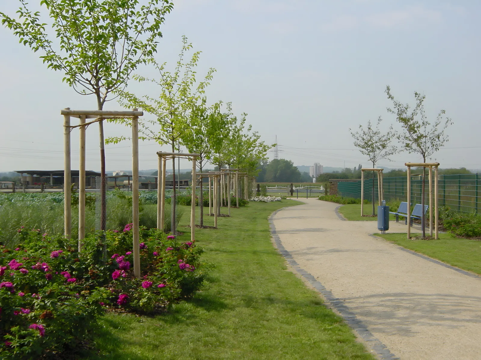 Unter Maulbeeren und Mispeln