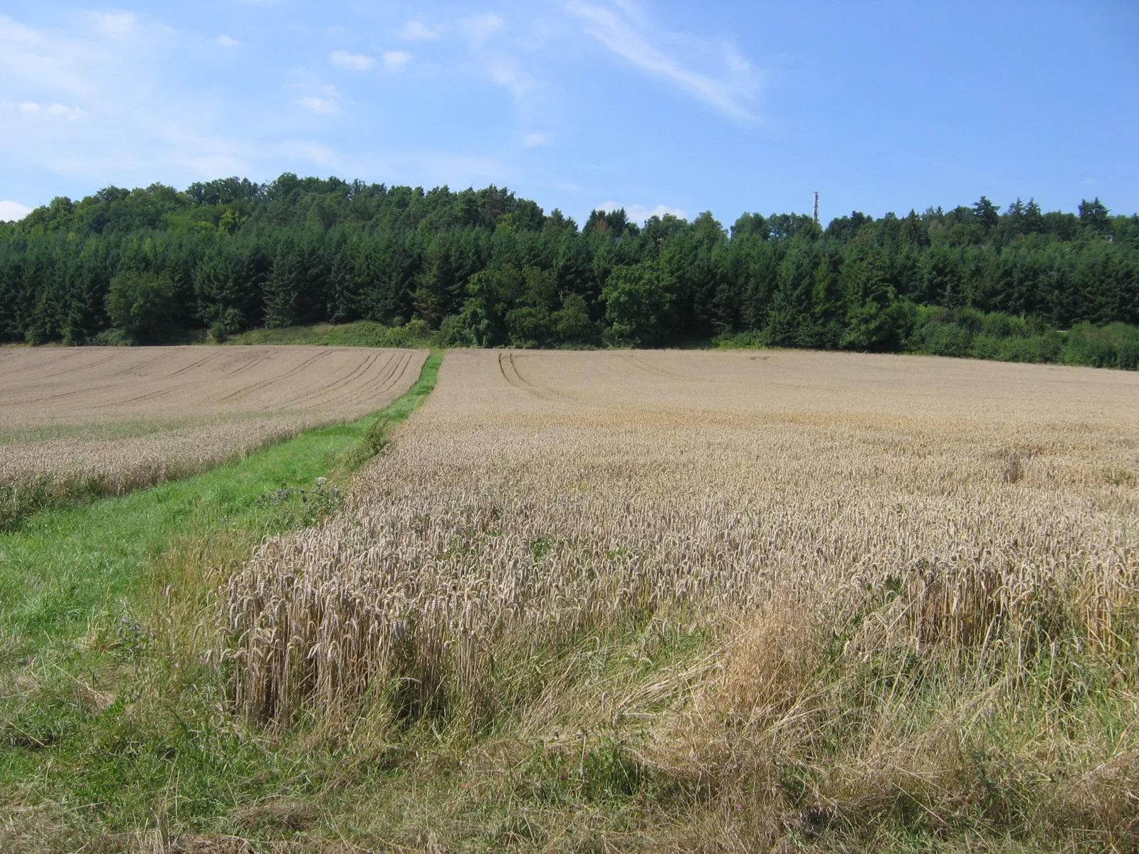 Landwirtschaft erleben, Wöllstadt