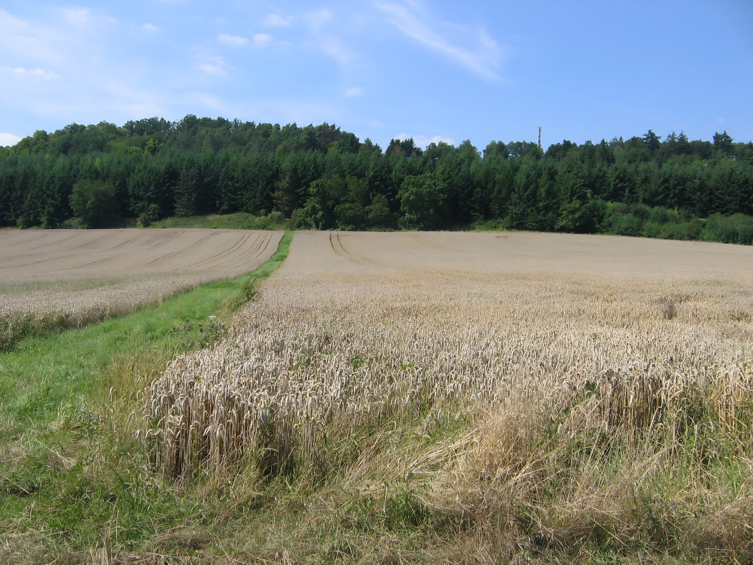 Landwirtschaft erleben, Wöllstadt